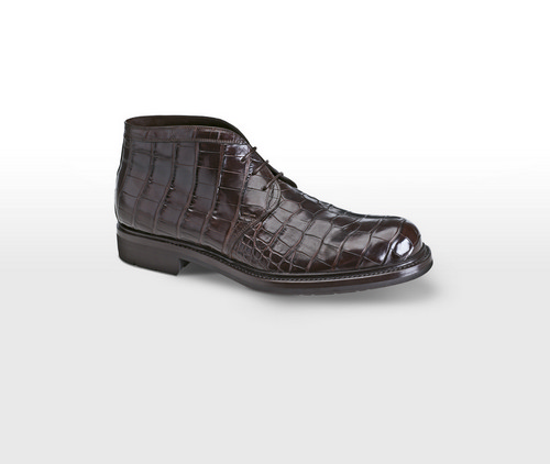 ��������� ������� ����� �����-���� 2008/09