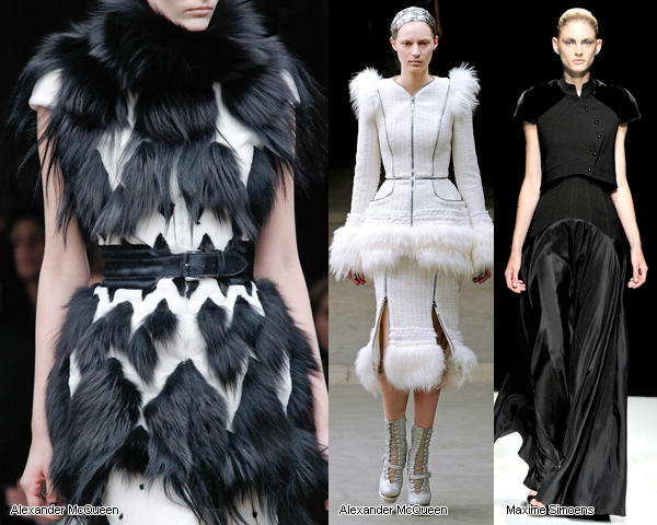 ������ ��������� �����-���� 2011/12