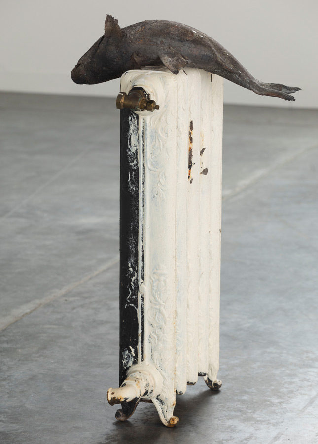 ����������� � �����������, ������� ����������� Celine � ��� �������