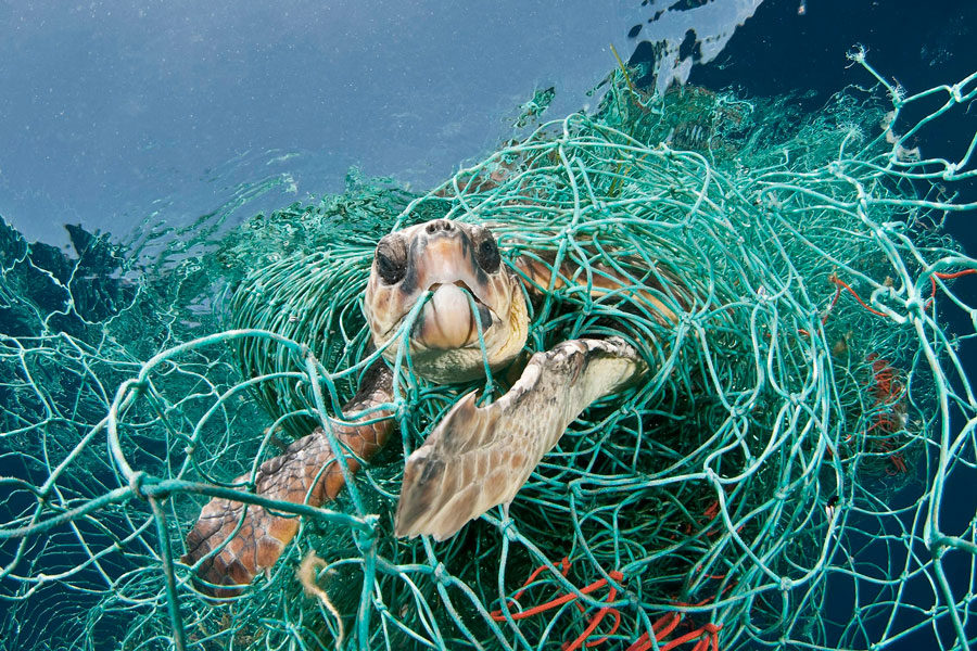 ��� ������ ��������� ���������� ����� � ��� � ���� ������