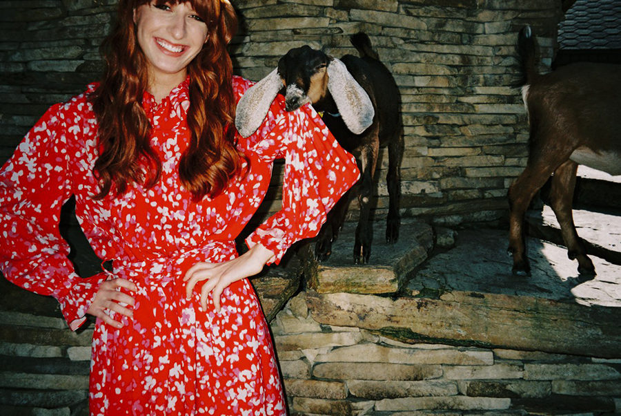 ���� ������ ������ ��������� ������, ��� � ���� ��������� � ����� �� ����� �����